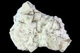 Quartz, Fluorite and Pyrite Crystal Association - Morocco #82794-1